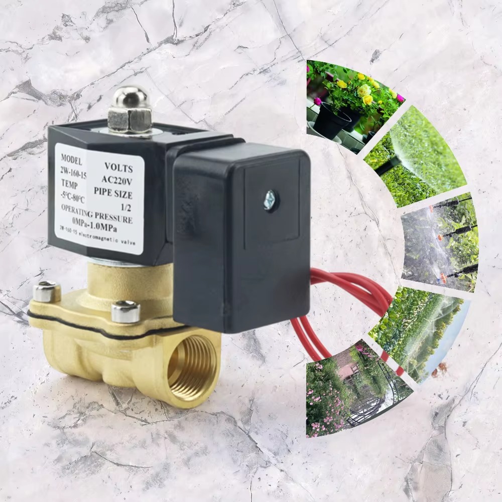 AC220V Tuya WiFi Smart Solenoi - Smart Garden Instructions 评论和价格