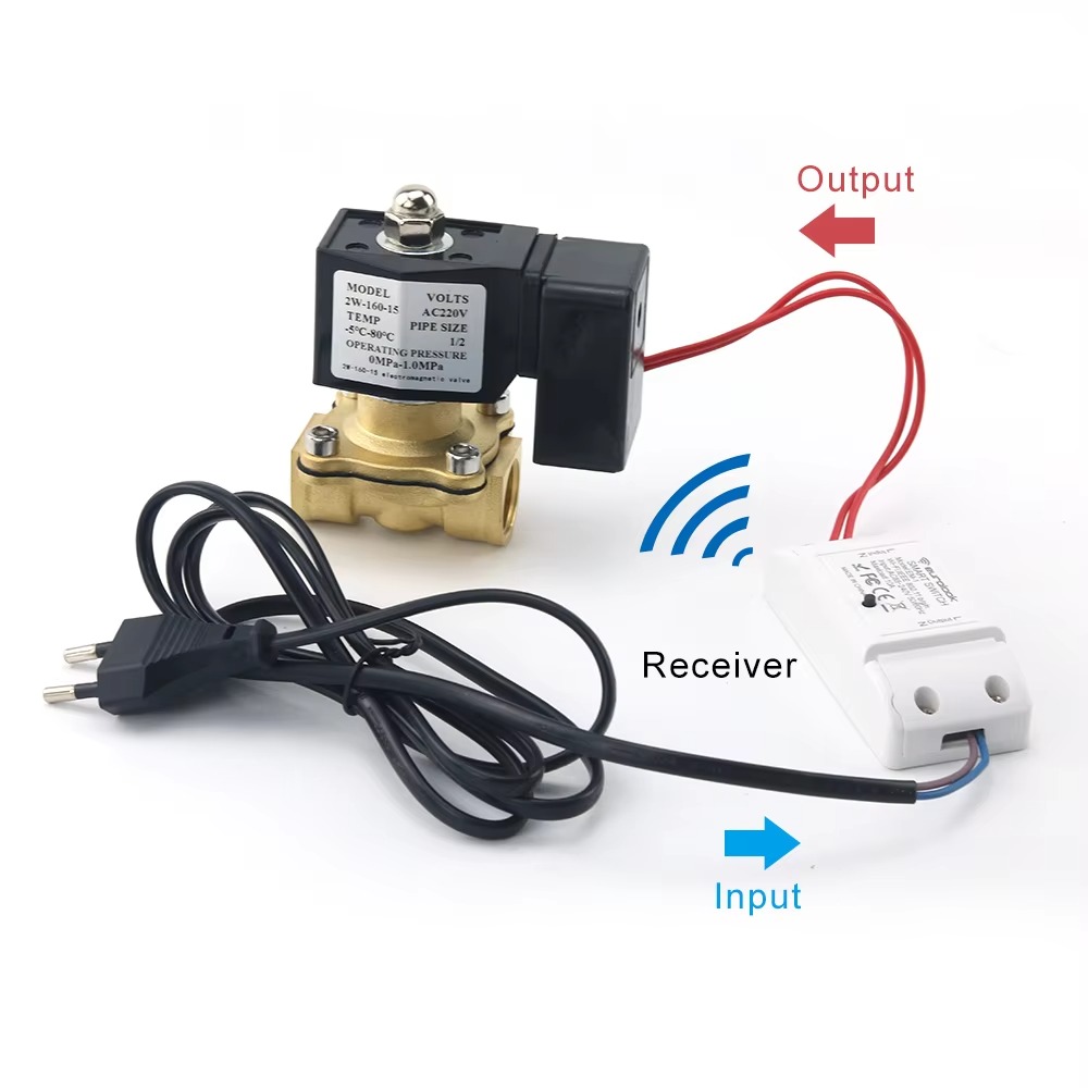 AC220V Tuya WiFi Smart Solenoi - Smart Garden Instructions 评论和价格