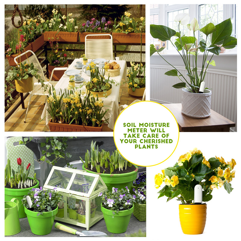 HHCC Flower Care Max Smart Pla - Smart Garden Xiaomi 评论和价格