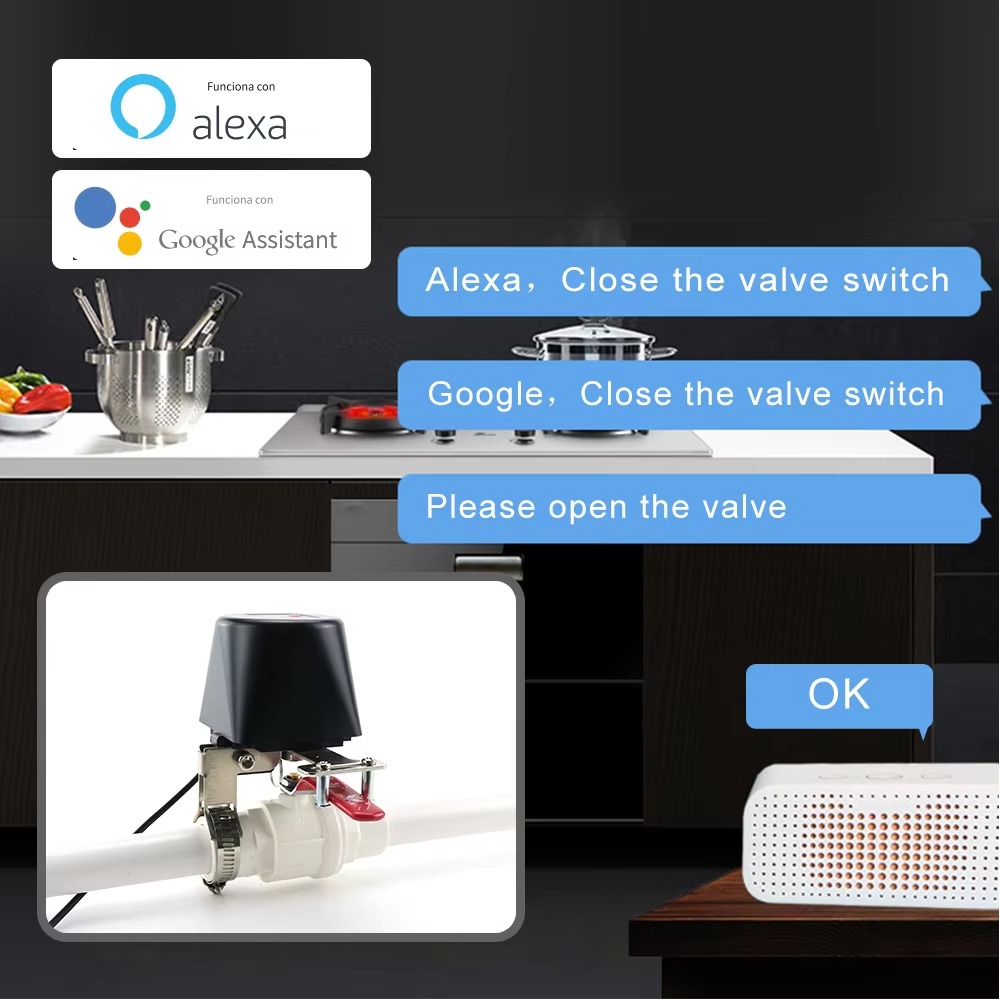 Tuya Zigbee or Wifi Water Valv - Smart Garden Instructions 评论和价格