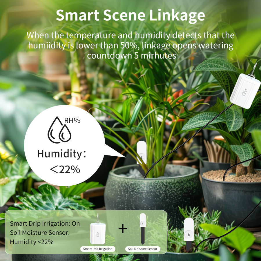 Smart Zigbee 3.0 Soil Tester H - Smart Soil Sensor 评论和价格