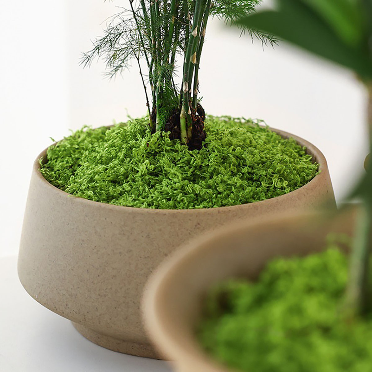 About 20g Artificial Green Pla - Smart Garden Ai 评论和价格