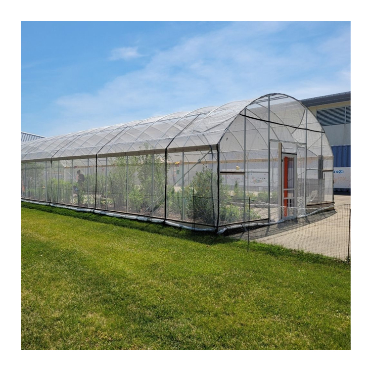 Smart Complete Set Cheap Green - Smart Garden Construct 评论和价格