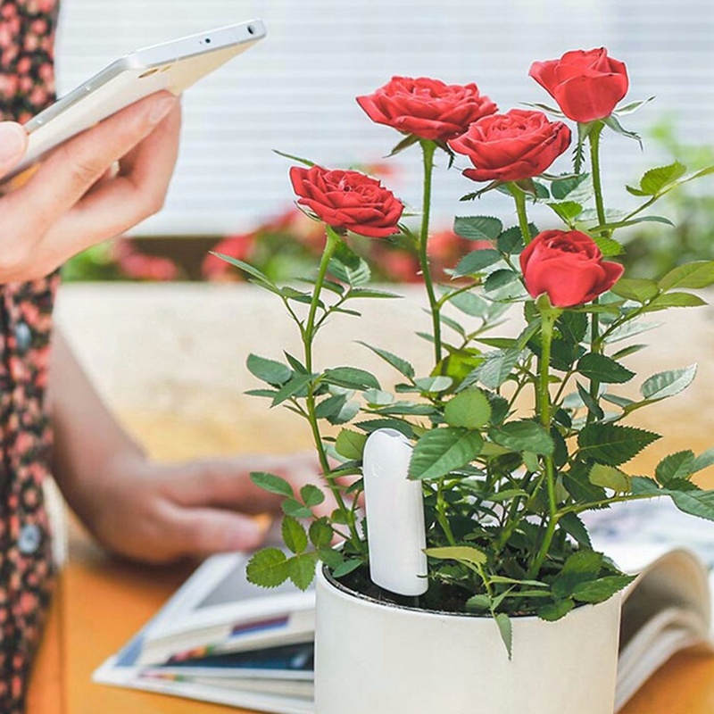 HHCC Flower Care Smart Plant M - Smart Garden Xiaomi 评论和价格