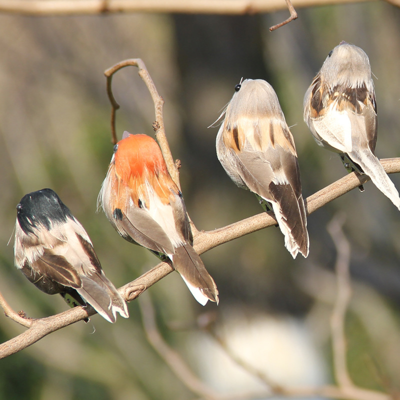2Pcs Hot Feather Bird Imitatio - Smart Garden Ai 评论和价格
