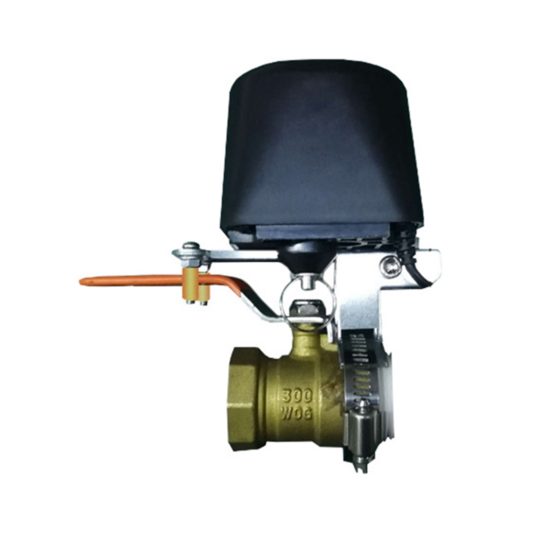 (A02R] Tuya Smart WiFi Water V - Smart Gardening 评论和价格